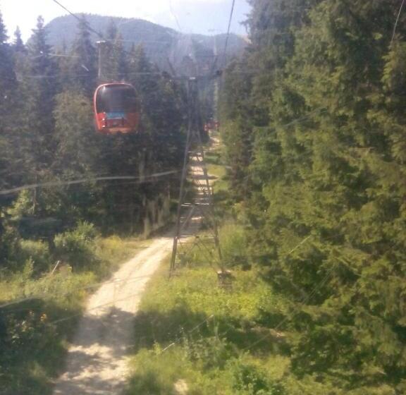 ペンション Guesthouse Elizabeth