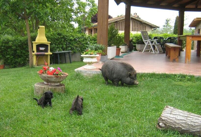 ペンション Il Poggio