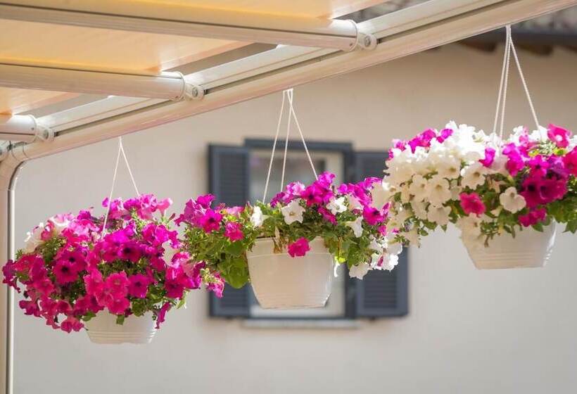 펜션 Malì Trevignano Piccolo