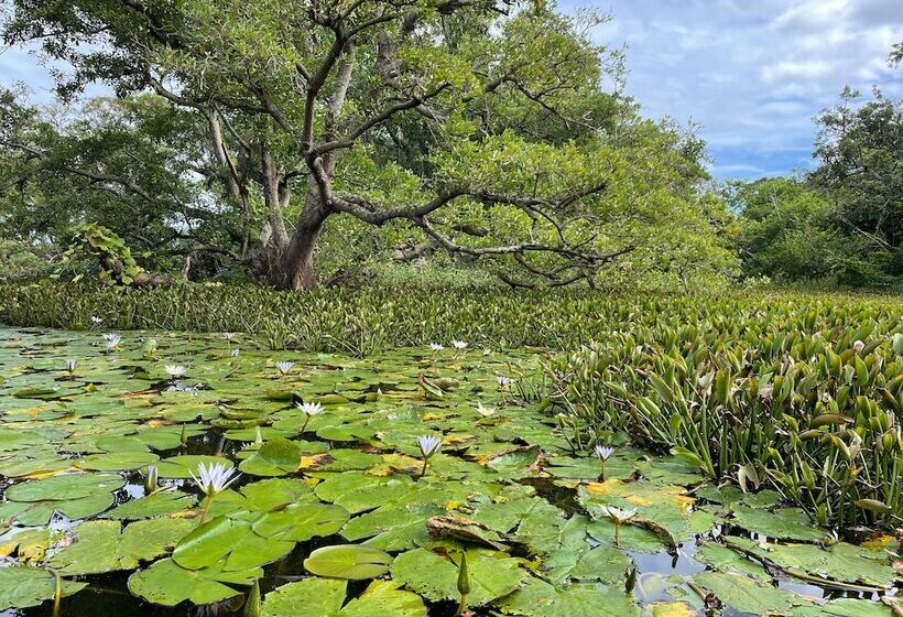 پانسیون Poé Côté Lagon Beach Bungalows