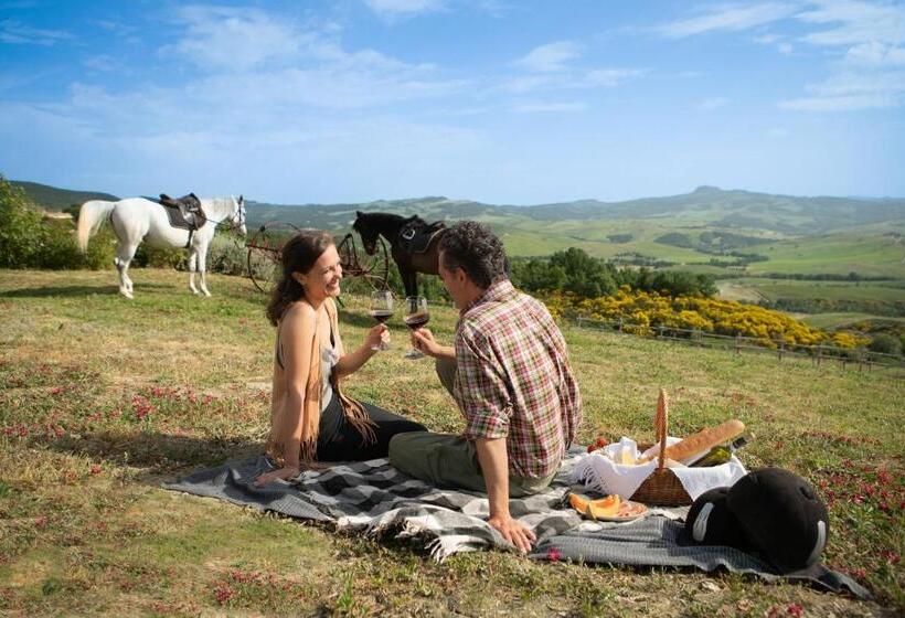 Podere Val D Orcia  Tuscany Equestrian