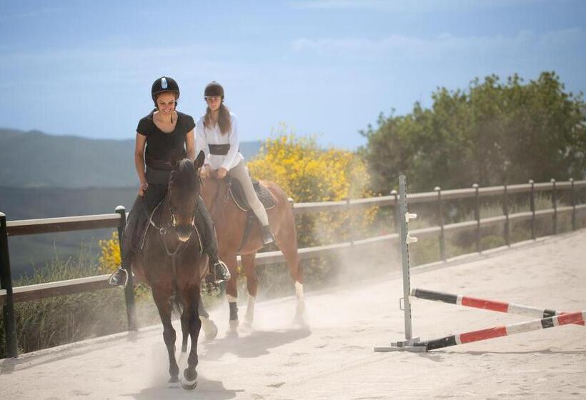 Podere Val D Orcia  Tuscany Equestrian