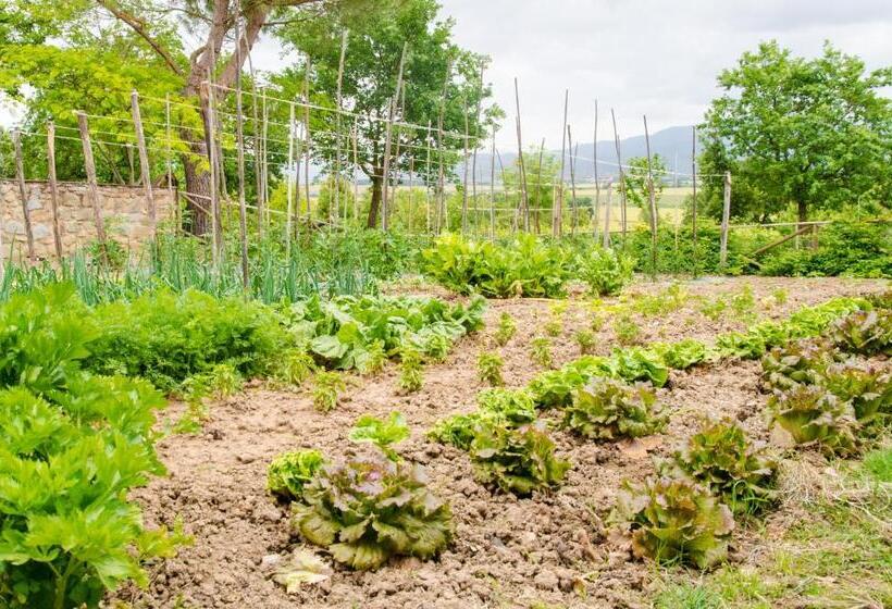 Agriturismo San Francesco