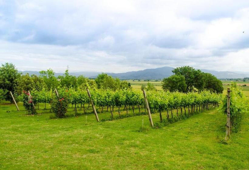 Agriturismo San Francesco