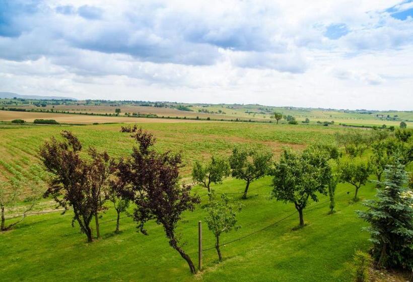 Agriturismo San Francesco