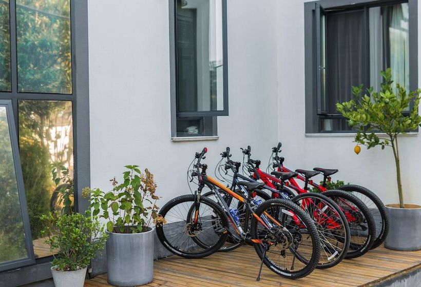 مبيت وإفطار Qiandaohu Shishan My House