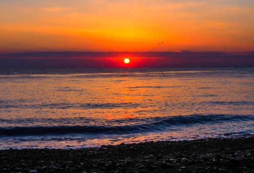 Devi's Place Tejakula