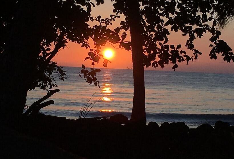 Devi's Place Tejakula