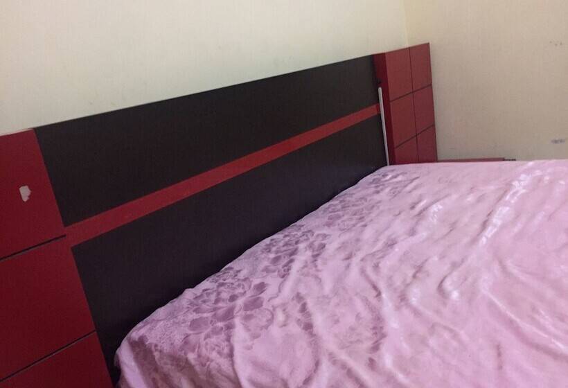 Hostel No Quintal Hostel