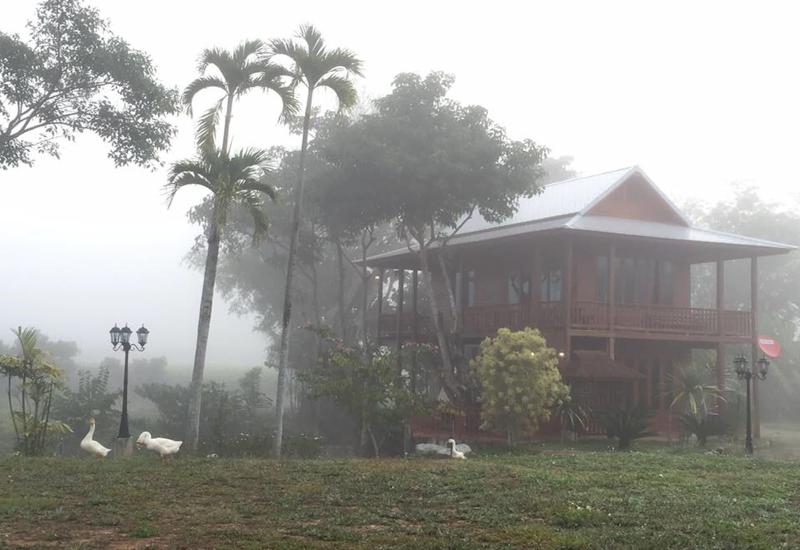 Отель Ban Suan Tawan Chiang Dao