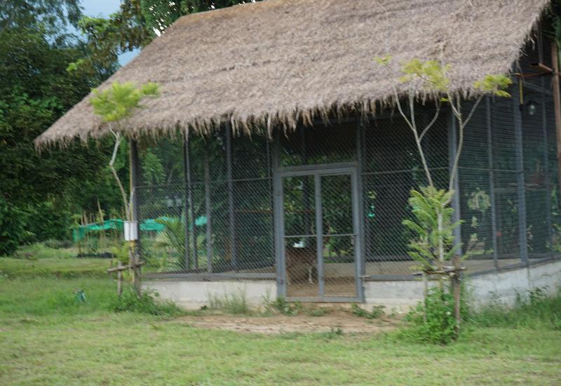 Отель Ban Suan Tawan Chiang Dao