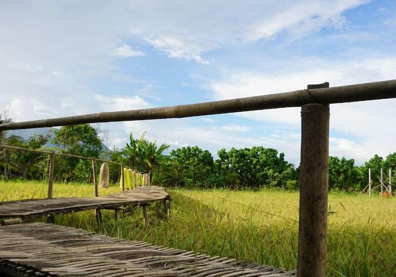 Отель Ban Suan Tawan Chiang Dao