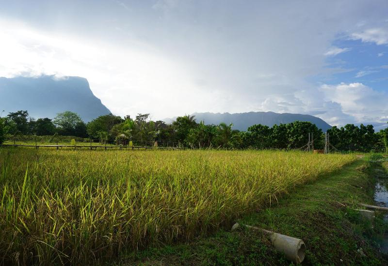 Отель Ban Suan Tawan Chiang Dao