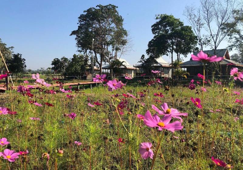 Отель Ban Suan Tawan Chiang Dao