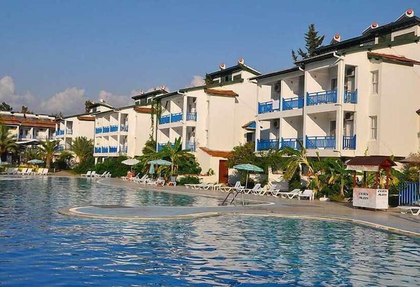 Club Oasis Eternity Hotel   All Inclusive