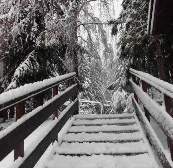 호텔 Casa Alpina Dobbiaco