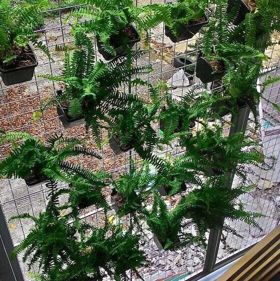 فندق Emperor's Suites