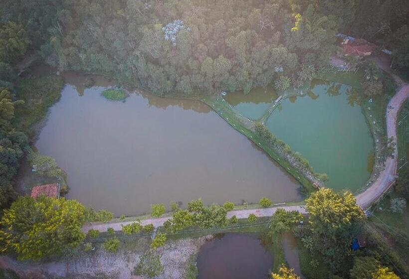 ホテル Fazenda Pintado Na Brasa