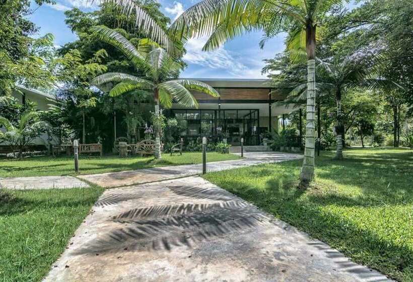 Отель Gym Bangarang Muay Thai And Fitness Resort