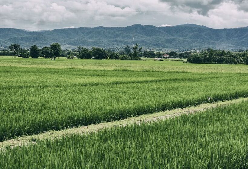 Отель Gym Bangarang Muay Thai And Fitness Resort