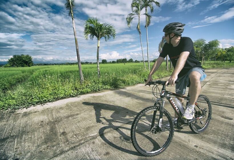 Отель Gym Bangarang Muay Thai And Fitness Resort