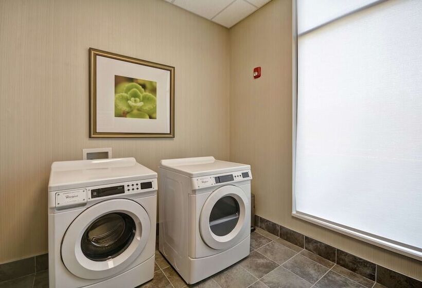 酒店 Hilton Garden Inn Gastonia