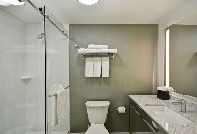 בית מלון כפרי Hilton Garden Inn Gastonia