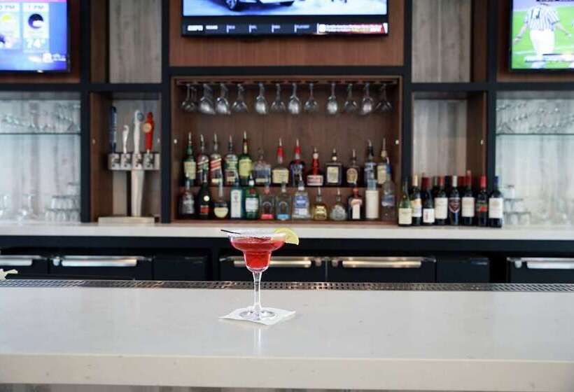 فندق Hilton Garden Inn Tampa Wesley Chapel, Fl