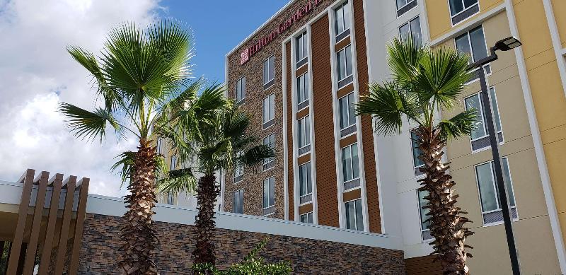 فندق Hilton Garden Inn Tampa Wesley Chapel, Fl