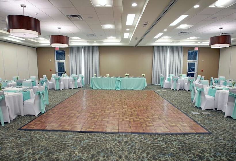 فندق Hilton Garden Inn Tampa Wesley Chapel, Fl