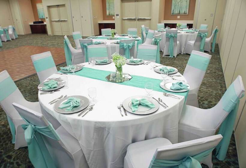 فندق Hilton Garden Inn Tampa Wesley Chapel, Fl