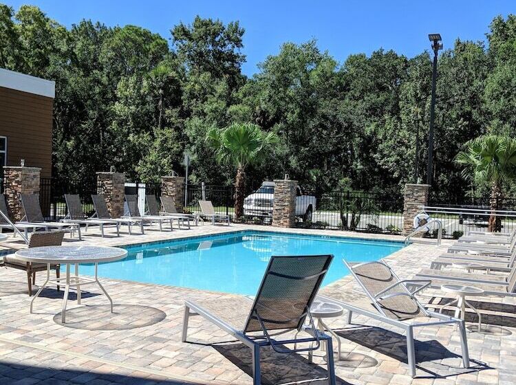 Отель Hilton Garden Inn Tampa Wesley Chapel, Fl