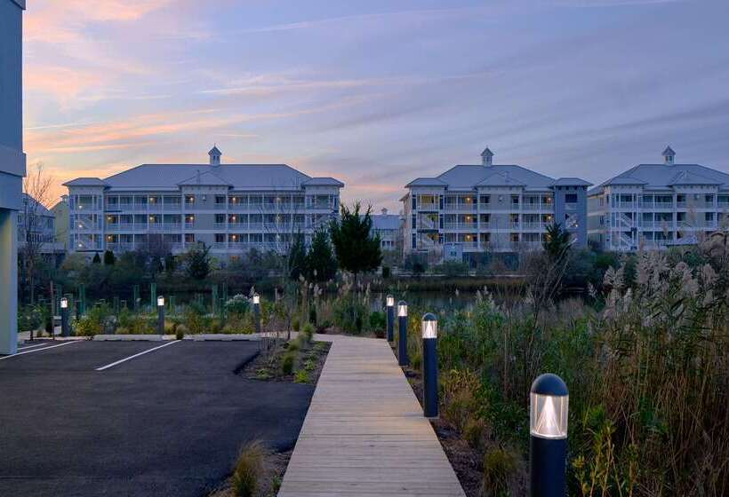 酒店 Home2 Suites By Hilton Ocean City   Bayside, Md