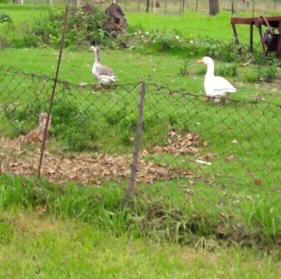 בית מלון כפרי Hoyo Hoyo Machadostud Lodge