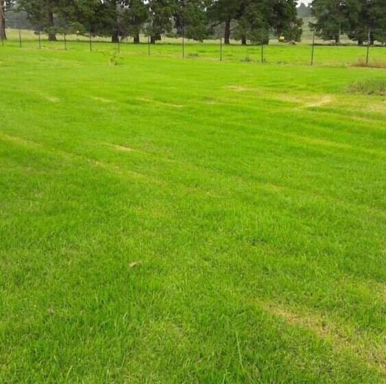 בית מלון כפרי Hoyo Hoyo Machadostud Lodge