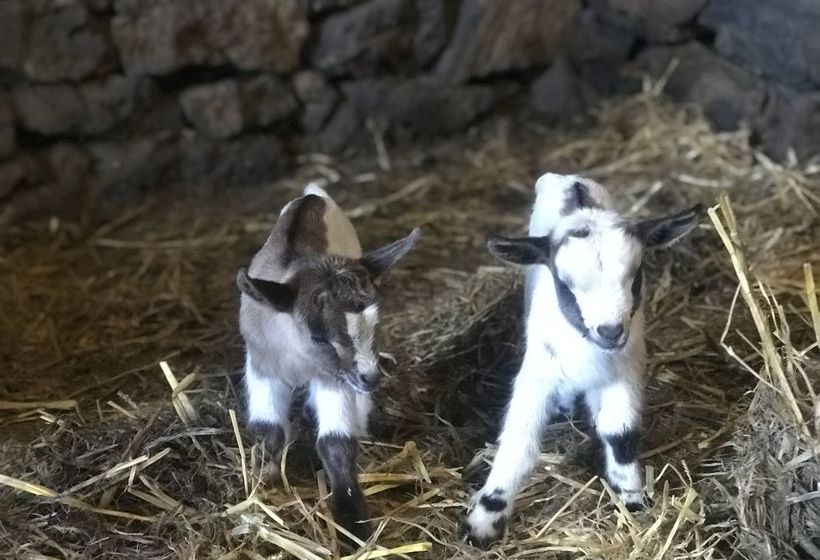 Отель Il Frutteto Di Efesto