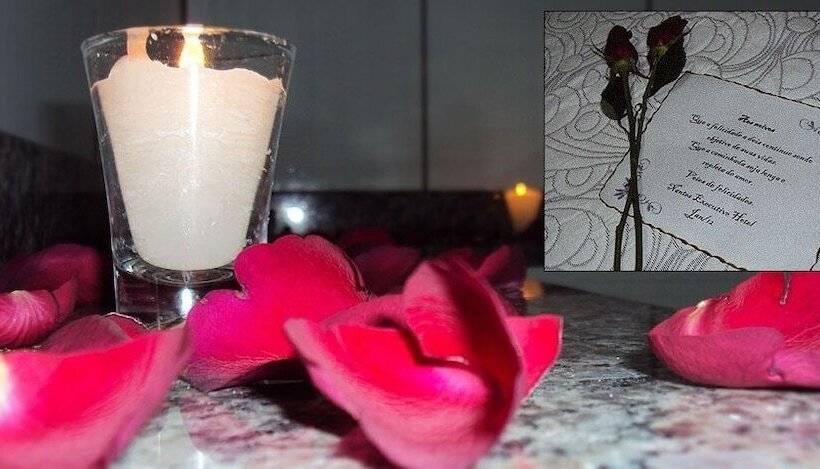 فندق Nantes Executive