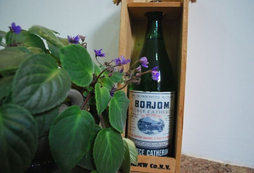 هتل Old Borjomi