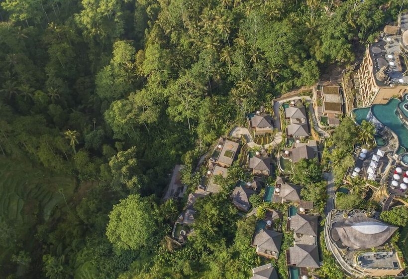 호텔 The Kayon Jungle Resort