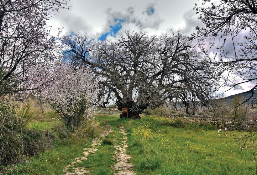 Lania Royal Oak House By Trulycyprus