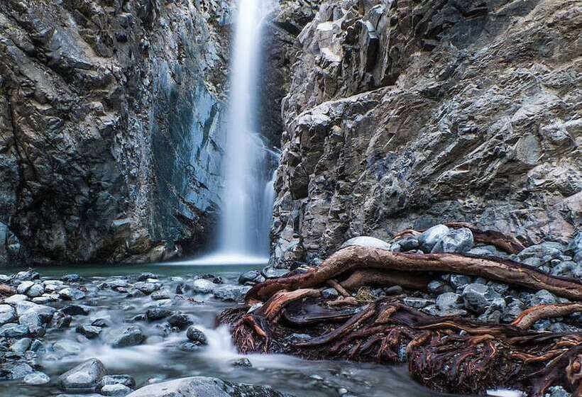 Lania Royal Oak House By Trulycyprus