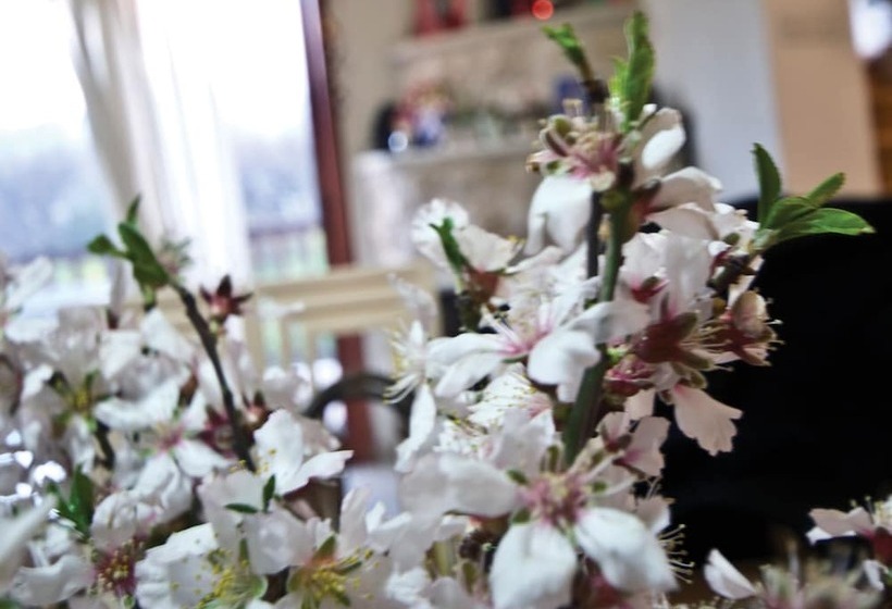 Lania Royal Oak House By Trulycyprus