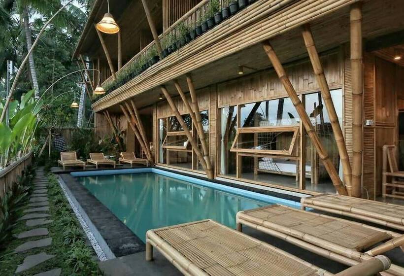 Luxury Bamboo Hostel