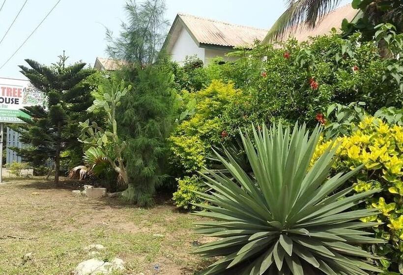פנסיון Almond Tree Guest House