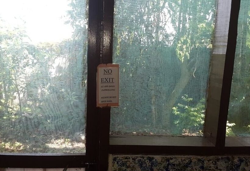 פנסיון Almond Tree Guest House