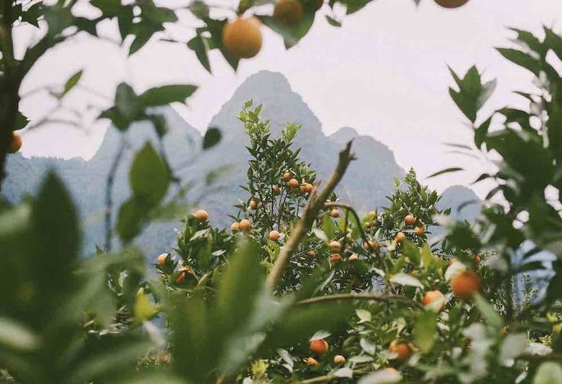 Пансион Laojia A Qing Dynasty House