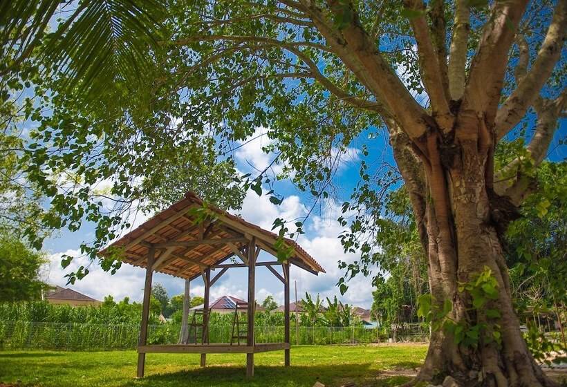 بنسيون Muo Resort