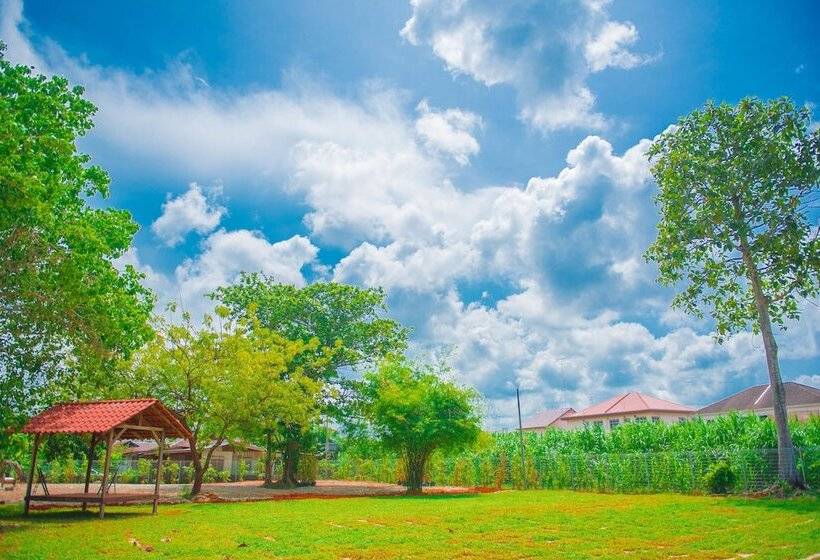 بنسيون Muo Resort