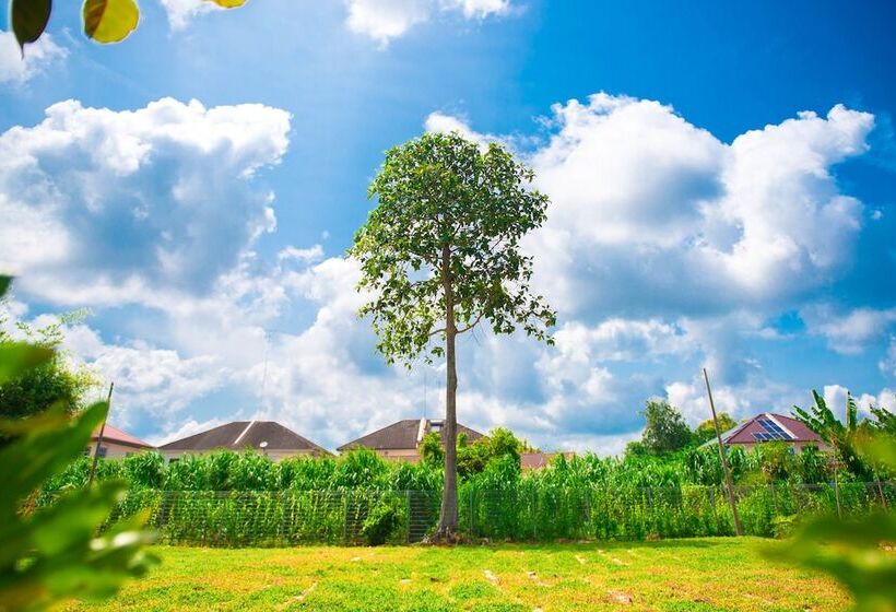 بنسيون Muo Resort