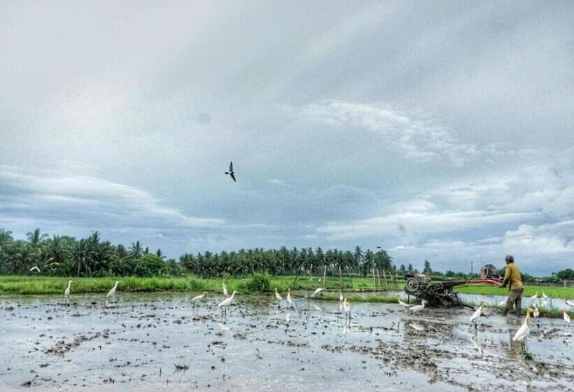 פנסיון Pondok Uma Ubud
